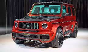 Image result for Hyacinth Red 2016 G