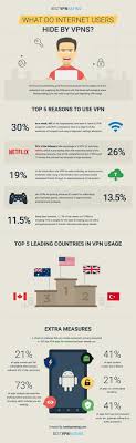 What Internet Users Mostly Hide Using A Vpn Safe Internet Infographic Internet