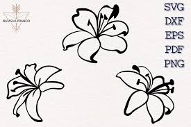 Download Lily Svg Design 1204128 Cut Files Design Bundles