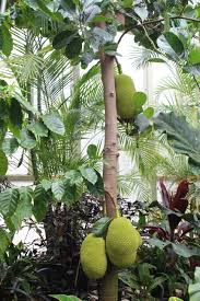 ØµÙØ±Ø© Ø°Ø§Øª ØµÙØ©