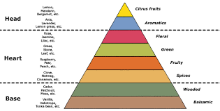 Perfume Shrine Structure Of A Perfume What It Is How To