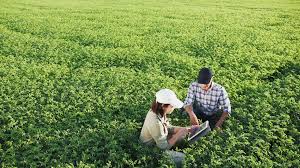 Maestría en Agropecuaria con Mención en Agronegocios