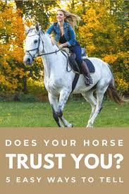 Does Your Horse Trust You 5 Easy Ways To Tell Horse Riding Tips Horse Behavior Horses