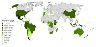List Of Countries By Avocado Production Wikipedia