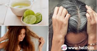 It also has antimicrobial properties that stimulate your hair, helps it grow healthy, and potentially helps reverse grey hair in the process. Lemon Juice And Coconut Oil For Gray Hair Helth