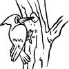 Find the perfect black capped chickadee stock illustrations from getty images. 1