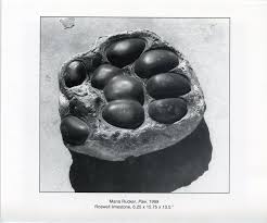 Maria Rucker — The RAiR Foundation