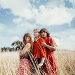 Murmurations - live at Cley Marshes