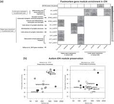 Why do pest analysis for your business. Evolution And Neuroscience Part Iii The Cambridge Handbook Of Evolutionary Perspectives On Human Behavior