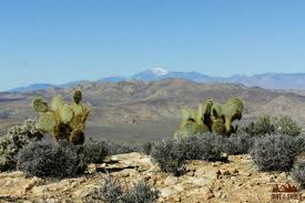 Accessible a mountain top cactus wedge find out how to complete accessible in the daytime near a. Hike Joshua Tree Ryan Mountain Dirt In My Shoes