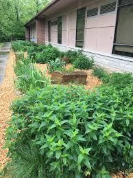 Explore the trees, shrubs, grasses, and ferns that make up indiana's natural plant communities. Plant Natives Sycamore Land Trust