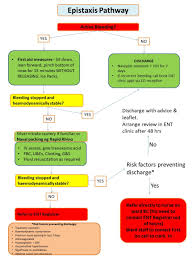 Image result for Epistaxis