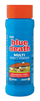 Blue Death Feigning Beetles