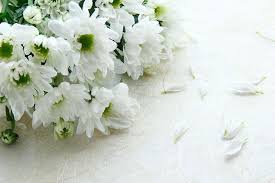 Sympathy flowers are the most common gift for people who are grieving the death of a loved one, but knowing which type to send can be difficult. Funeral Flower Etiquette When Where What To Send