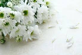 Maybe you would like to learn more about one of these? Funeral Flower Etiquette When Where What To Send