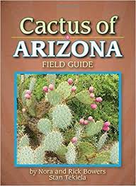 This cactus is the almighty symbol in arizona. Cactus Of Arizona Field Guide Cacti Identification Guides Amazon De Bowers Nora And Rick Tekiela Stan Fremdsprachige Bucher