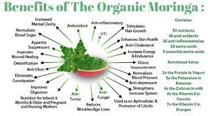 Moringa Oleifera Drumstick Tree Infograph Cancer Fighting Foods Types Of Cancers Moringa Benefits