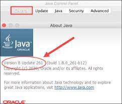 How To Check Java Version On Mac Or Windows {Via Gui Or Terminal}