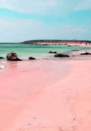 Travel Pink Sand Beach Bahamas Pink Sand Beach Pink Sand Beach Bahamas Bahamas Travel
