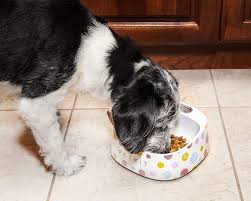 Free click & collect in as little as 1 hour. Polka Dot Petkit Fresh Smart Digital Feeding Anti Bacterial Pet Bowl Pet Supplies Feeding Watering Supplies Urbytus Com