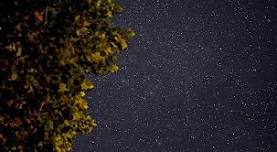 New Moon Yoga