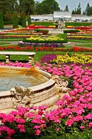 Pin On Plant Life Flowers By Sewell Scenics