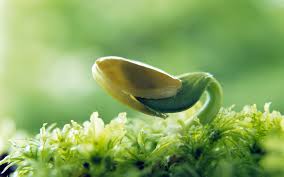breakthrough prayer points