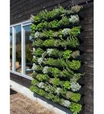 Vertikaler Garten Fur Aussen Im Greenbop Online Shop Kaufen Vertikaler Garten Bepflanzung Wandgarten