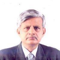 PDF) Effects of lead