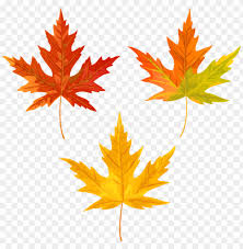 Maple leaf images clip art. Free Png Download Orange Fall Leaves Clipart Png Photo Maple Leaf Png Image With Transparent Background Toppng