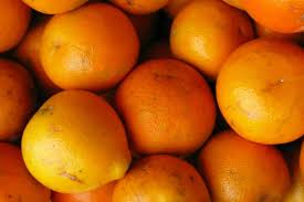 We did not find results for: Productores De Naranjas En Florida Temen Duro Impacto De Dorian Mundo Gestion