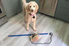 You can make your own out of an old plastic container, bottle, or pvc. Canine Diy Enrichment Aspca