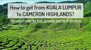 Cameron highlands is 206 km away from kuala lumpur, but the journey takes around 4 to 5 hours due to mountainous terrain. How To Go From K Lumpur To Cameron Highlands Northern Vietnam