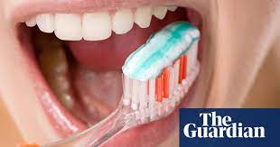 We also recommend that you bring your pets for professional dental care at least once a year. How Often Should You Brush Your Teeth Hygiene The Guardian