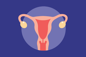 Maybe you would like to learn more about one of these? Ketahui 6 Fakta Mengenai Endometriosis