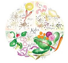 Kapha Dosha Foods Ayurveda Ernahrung Ayurveda Ayurveda Lifestyle