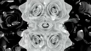 R&b singer trey songz secures his second no. Trey Songz What S Best For You Official Audio Youtube