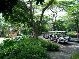 Singapore Zoo Tickets