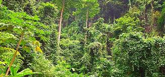 The Joy and Journey of Jun (Factoran)