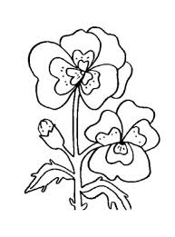 Ausmalbild Stiefmutterchen Malvorlagen Blumen Blumen Ausmalbilder Stiefmutterchen