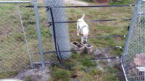 Ebay.com has been visited by 1m+ users in the past month Pull A Fence Without A Fence Puller Or Come Along Fence Farm Fence Country Farm House