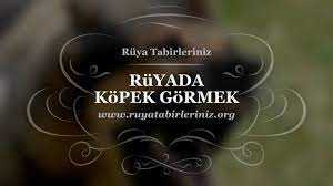 ruyada kopek gormek yorumu ruya yorumu yorum ruya