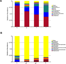 Copilul tau nu risca sa intre in contact cu bacteria in timpul alaptarii. Plos One Microbial Diversity Within The Digestive Tract Contents Of Dezhou Donkeys