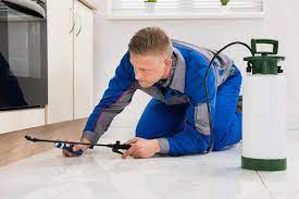 3 likes · 1 talking about this. Daniel Lawson Pest Control Home Facebook