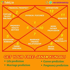 Janam Kundali Also Known As Birth Chart Depicts An Individual S Life Based On The 12 Houses Generate Your Kundali B Work Health Birth Chart Future Predictions