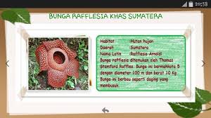 Check spelling or type a new query. Flora Fauna Endemik Indonesia Fur Android Apk Herunterladen