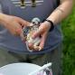 Kestrel Chick Banding - Goose Pond