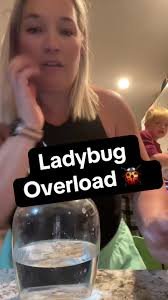 How to Make A Lady Bug Sugar Paste