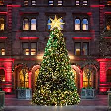 14 Nyc Christmas Trees Besides Rockefeller Center