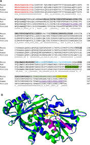 Look close at the front door(y) and use the key on the lock. Antimicrobial D Amino Acid Oxidase Derived Peptides Specify Gut Microbiota Springerlink